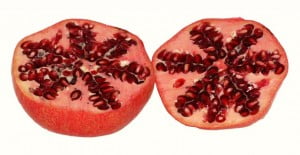 pomegranate-74250_640